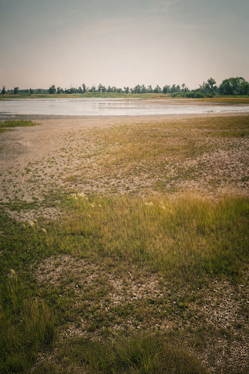 A wide landscape photograph of a marshy field with grasses and gravelly ground leading to a calm body of water under a pale sky, with a line of trees in the distance.