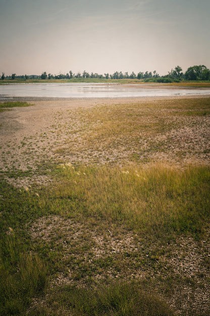 A wide landscape photograph of a marshy field with grasses and gravelly ground leading to a calm body of water under a pale sky, with a line of trees in the distance.